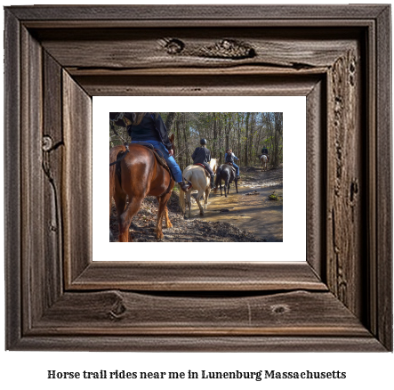 horse trail rides near me in Lunenburg, Massachusetts